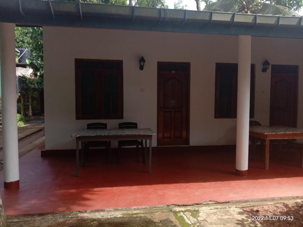 Hotel Ancient Tree Mirissa Exterior foto