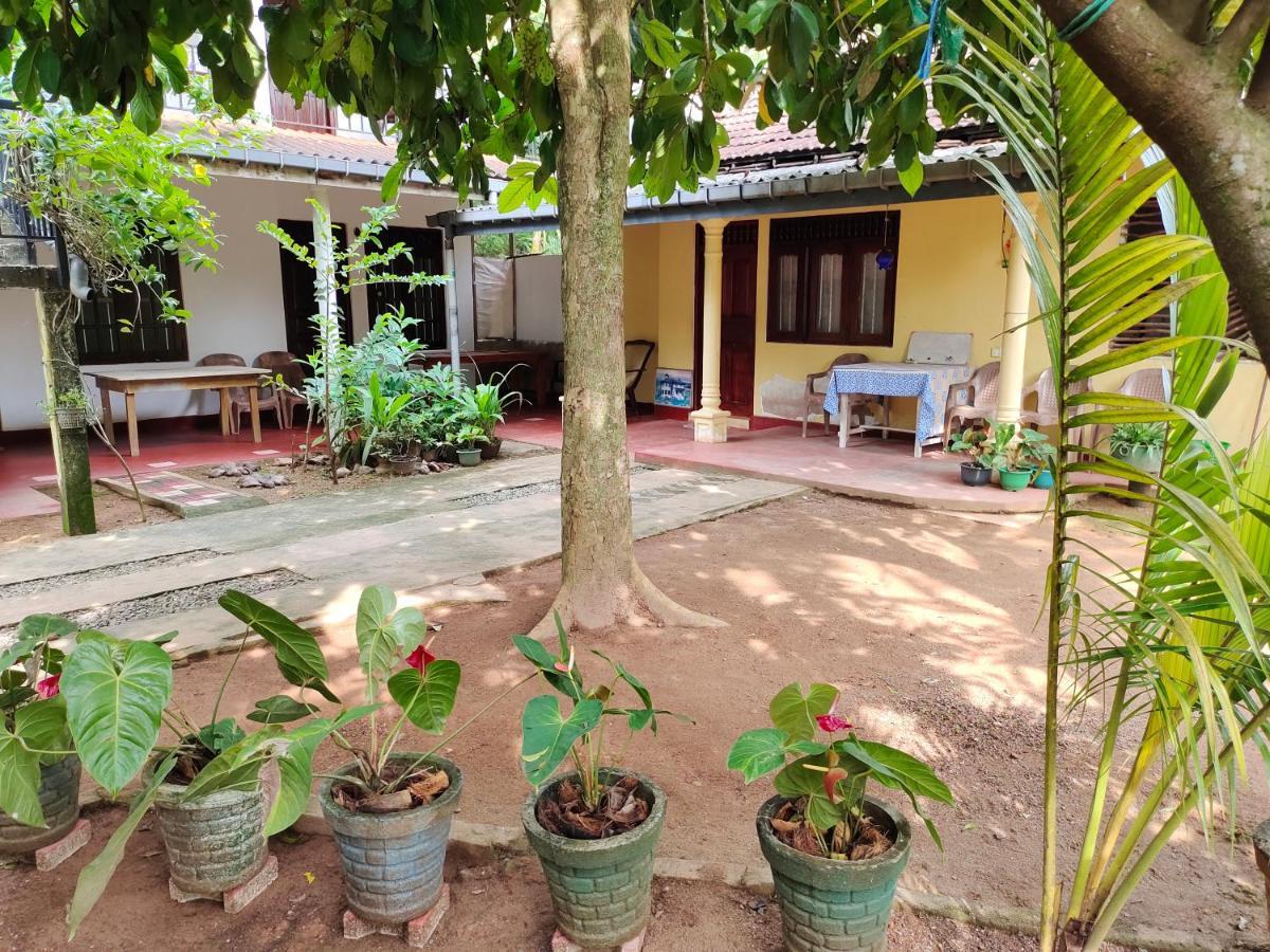 Hotel Ancient Tree Mirissa Exterior foto