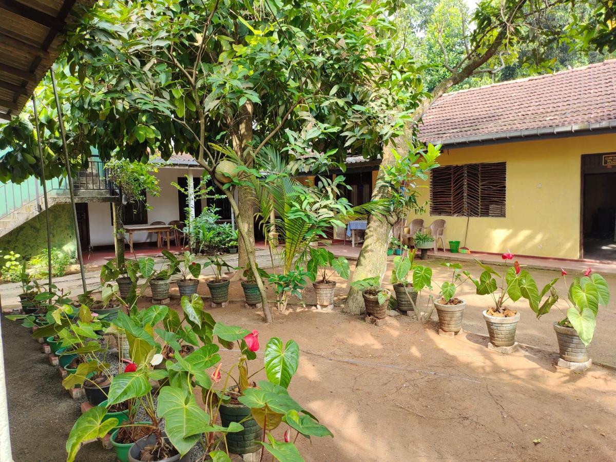 Hotel Ancient Tree Mirissa Exterior foto