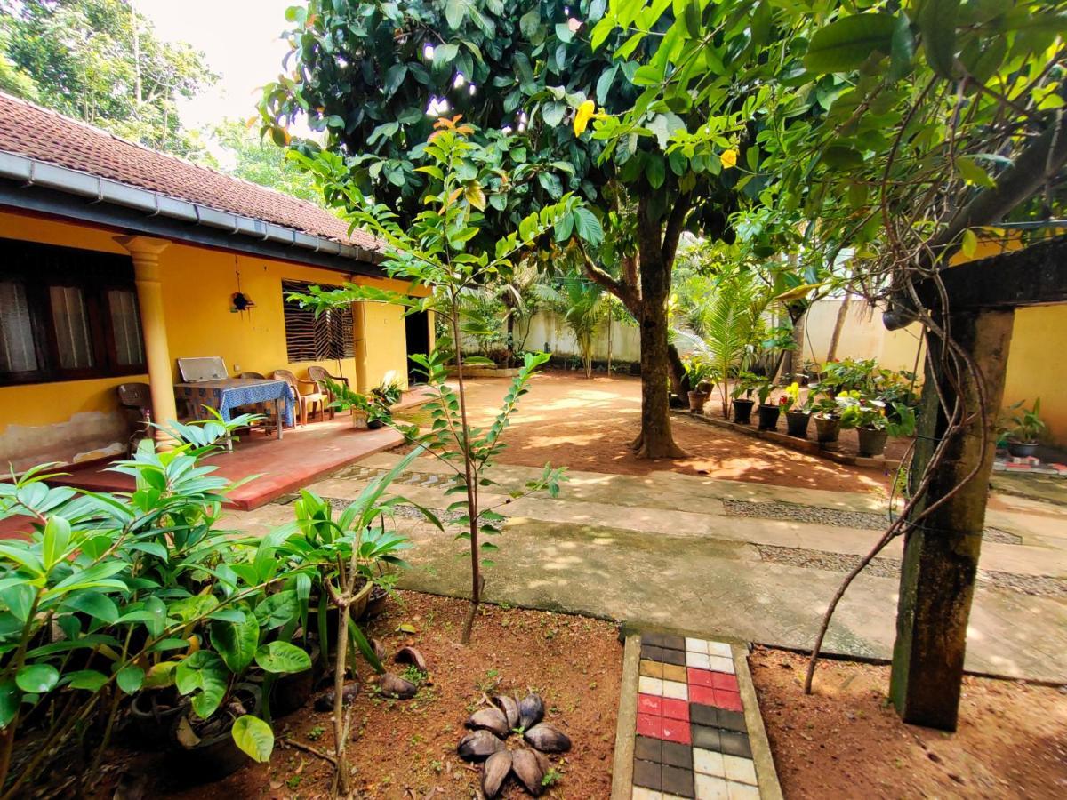 Hotel Ancient Tree Mirissa Exterior foto