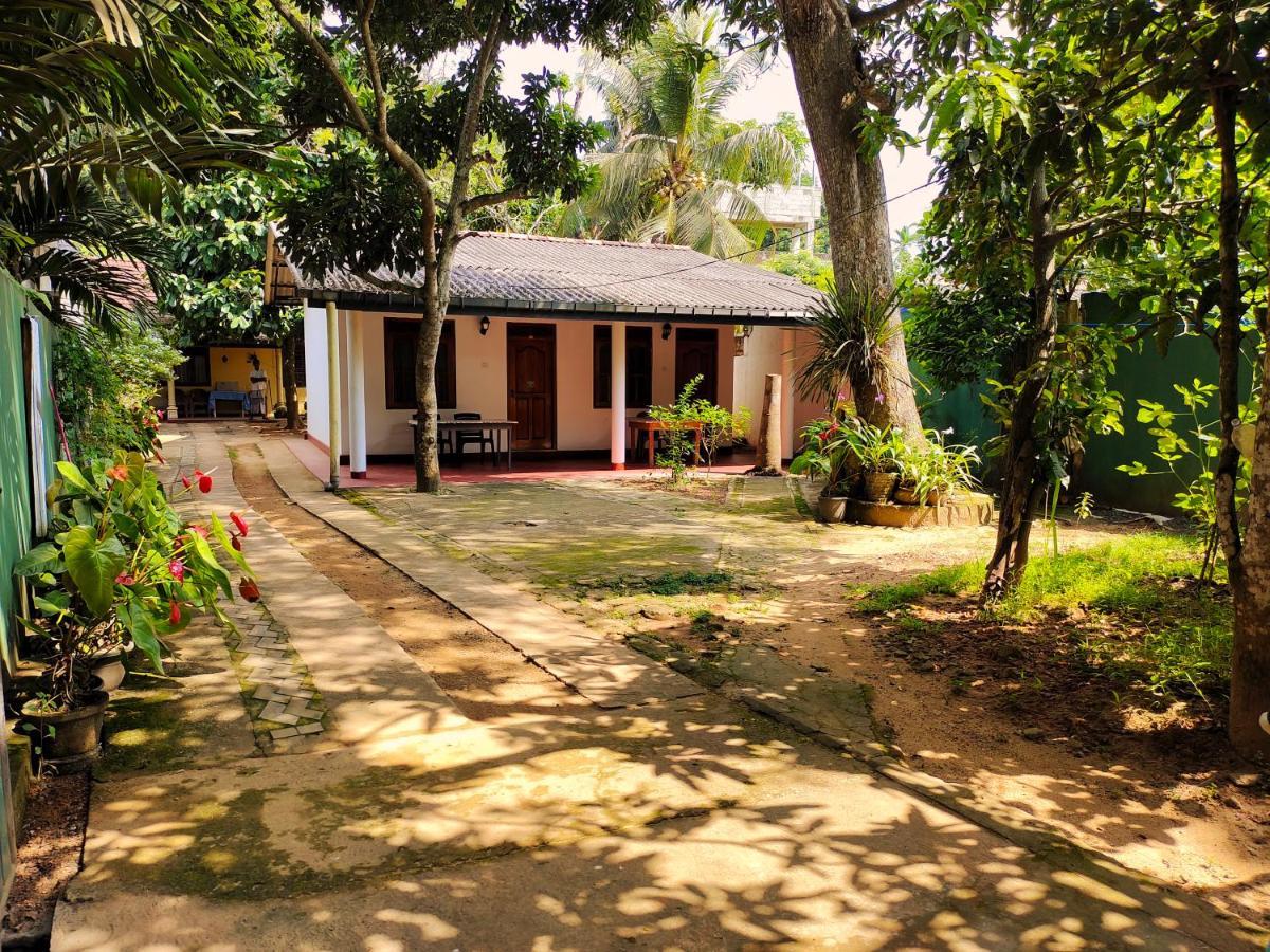 Hotel Ancient Tree Mirissa Exterior foto