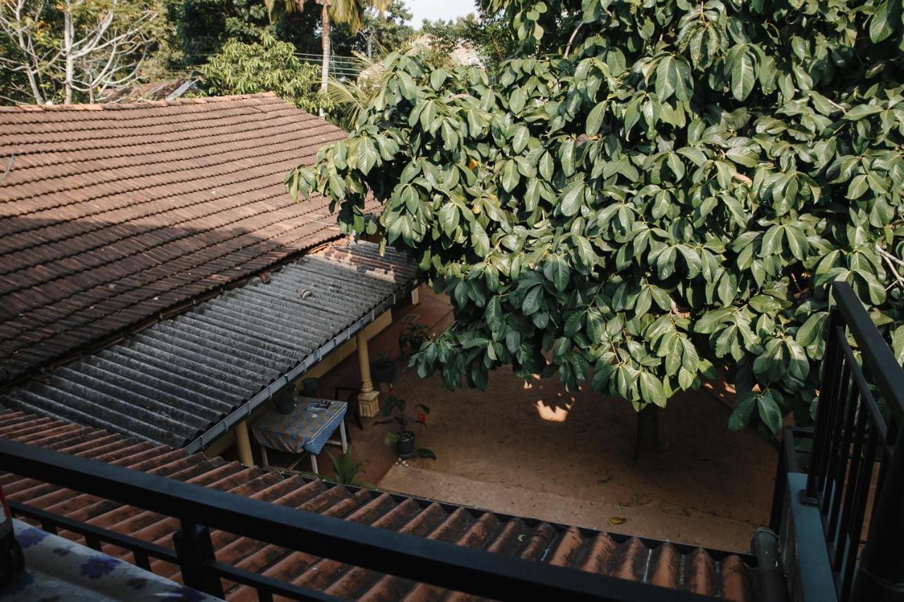 Hotel Ancient Tree Mirissa Exterior foto